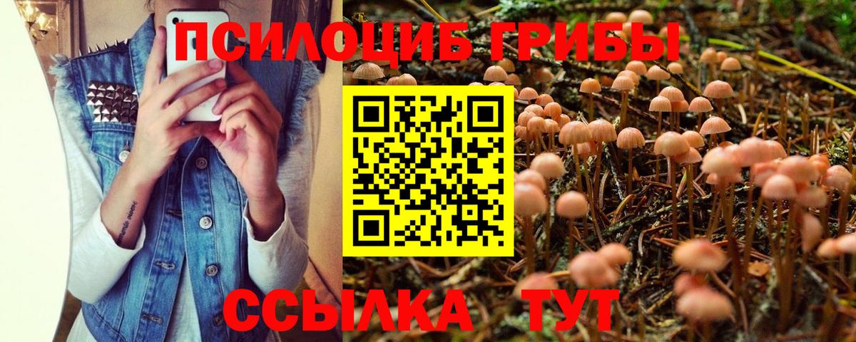 Галлюциногенные грибы Psilocybe  Вход с VPN  Псилоцибиновые грибы прущие грибы  Артёмовский 